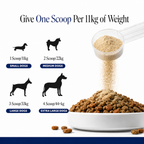 FreshBite Dental Powder