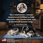 The ChillNest