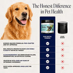 FreshBite Dental Powder
