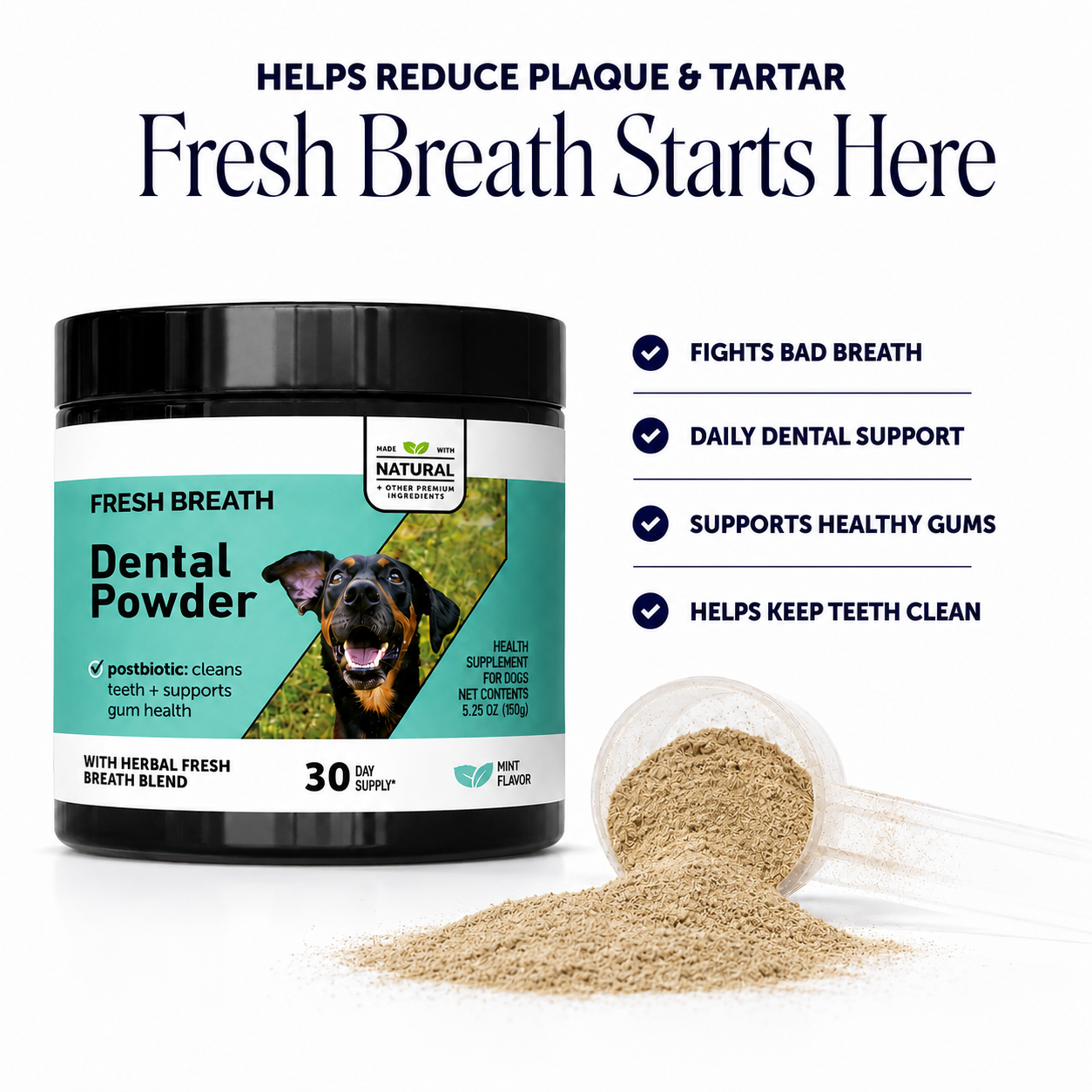 FreshBite Dental Powder