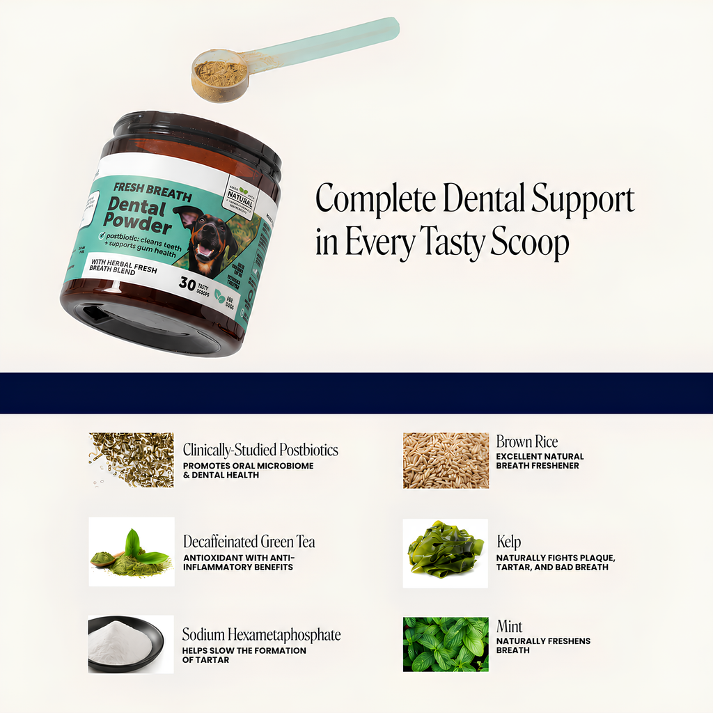 FreshBite Dental Powder