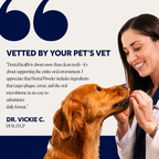 FreshBite Dental Powder